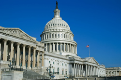 Government