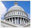 Government