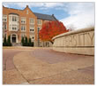 Higher Education